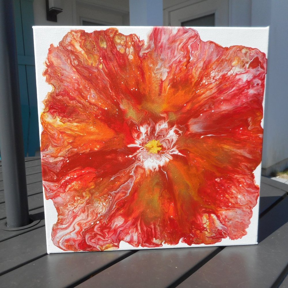 Poppy Burst Abstract on Canvas, 12 x 12